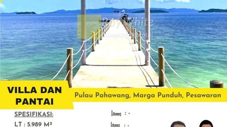 dijual tanah pantai murah pahawang