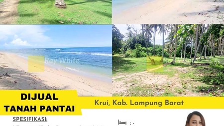 dijual tanah pantai murah krui lampung barat