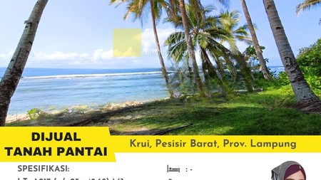 dijual tanah pantai murah krui lampung barat
