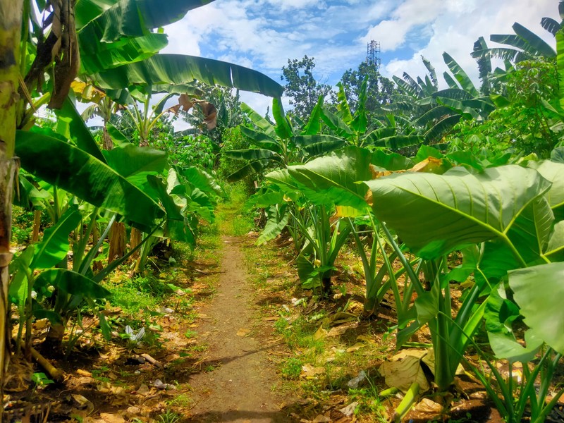 Kavling Siap Bangun di Serua Ciputat Bisa Untuk Cluster, Komersil dan Cocok untuk Padel