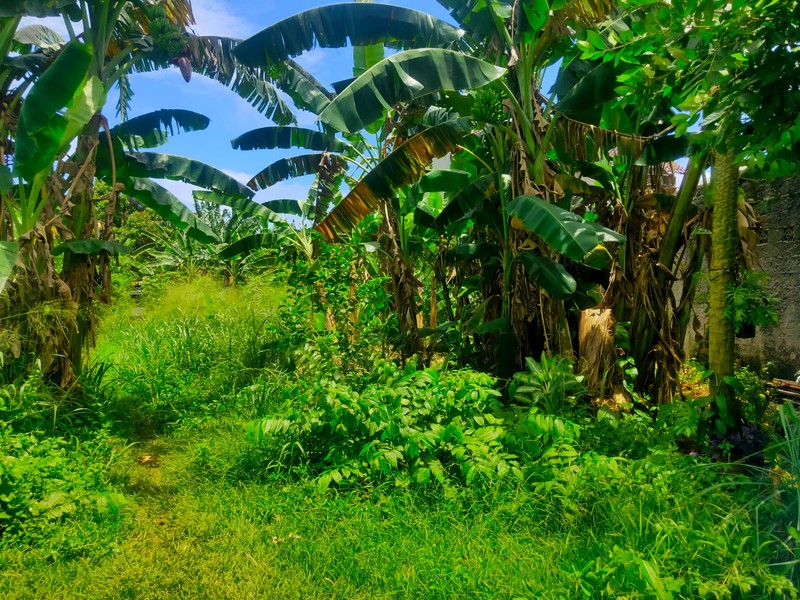 Kavling Siap Bangun di Serua Ciputat Bisa Untuk Cluster, Komersil dan Cocok untuk Padel