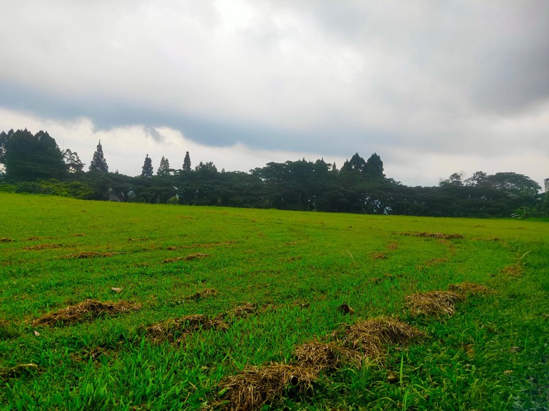 Kavling di Rancamaya Bogor Siap Bangun Posisi Pojok