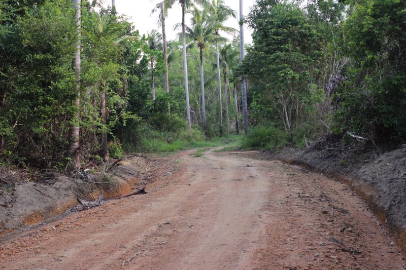 Tanah dekat pantai Laskar Pelangi Jual 