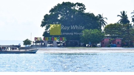 Dijual Tanah PANTAI LAMPUNG