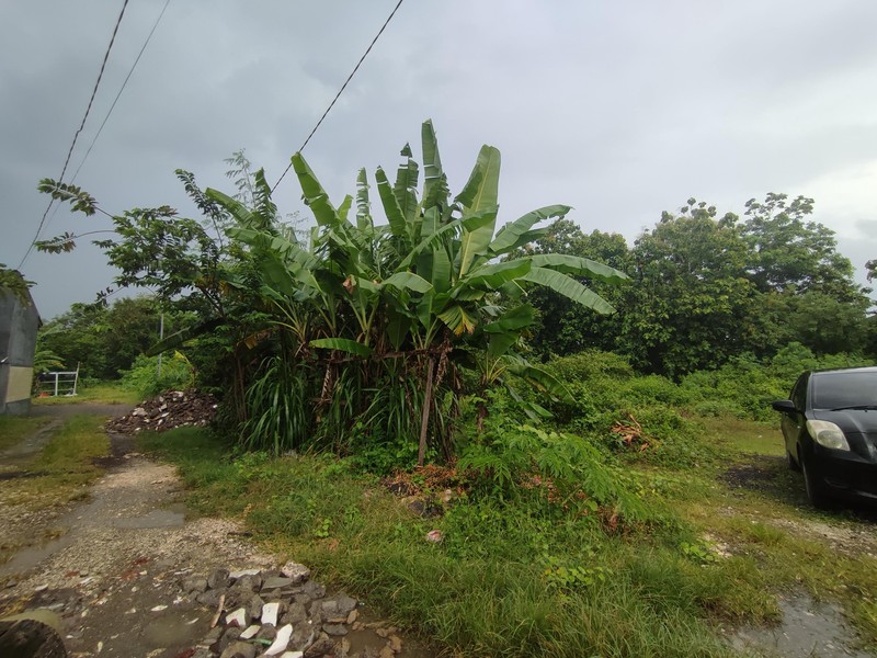 Land For Sale in Taman Mumbul - Nusa Dua