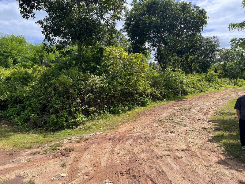 Land For Leasehold Close to Bingin Beach - Pecatu, Uluwatu