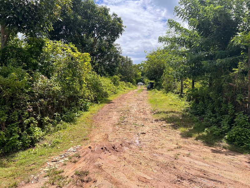 Land For Leasehold Close to Bingin Beach - Pecatu, Uluwatu