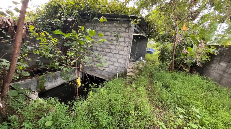 Dijual Tanah Strategis 325 Meter Persegi Dekat Kampus UII & Area Kuliner , Sinduharjo, Ngaglik, Sleman