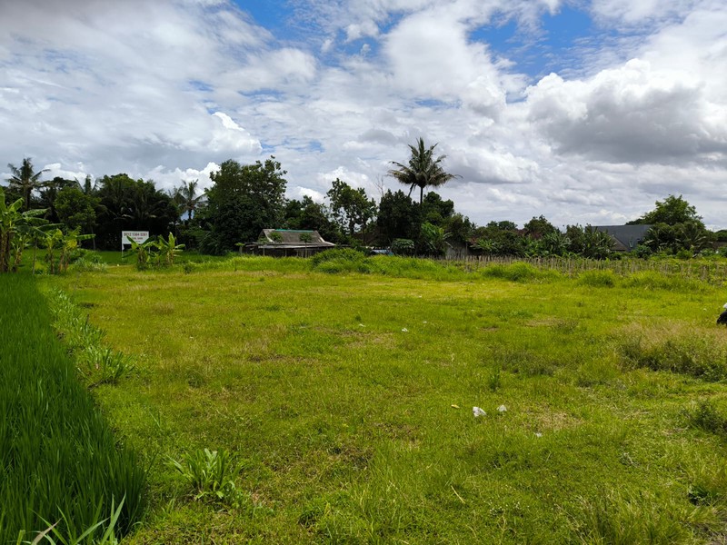 Dijual Tanah Sawah Strategis di Area Cebongan, Dekat Kantor Kelurahan, Sumberadi, Mlati, Sleman