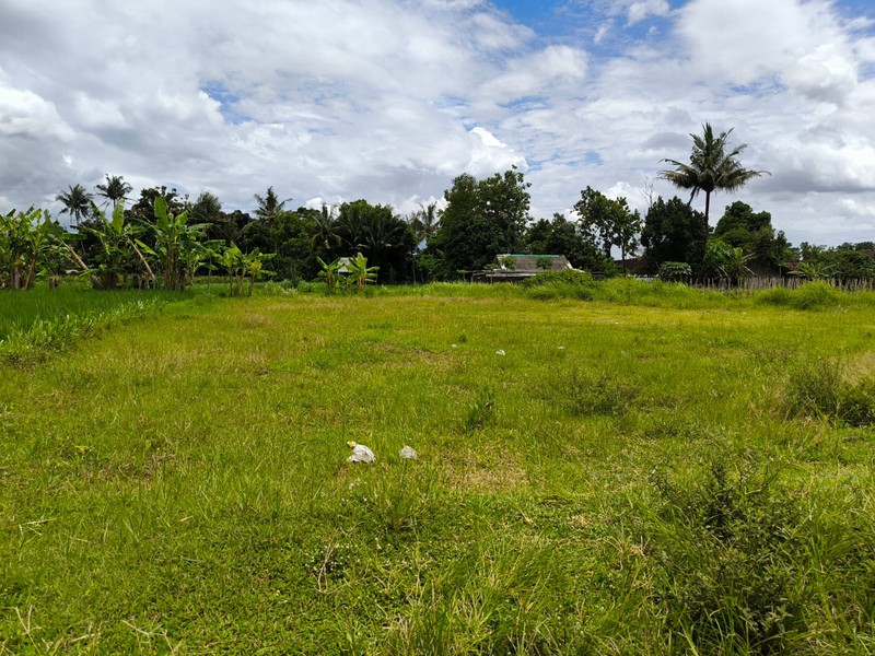 Dijual Tanah Sawah Strategis di Area Cebongan, Dekat Kantor Kelurahan, Sumberadi, Mlati, Sleman