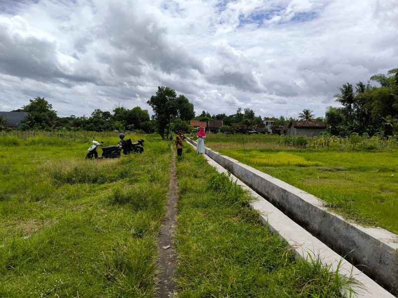 Dijual Tanah Sawah Strategis di Area Cebongan, Dekat Kantor Kelurahan, Sumberadi, Mlati, Sleman