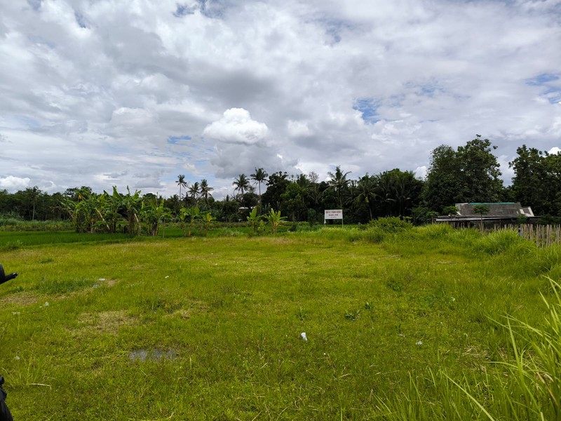 Dijual Tanah Sawah Strategis di Area Cebongan, Dekat Kantor Kelurahan, Sumberadi, Mlati, Sleman