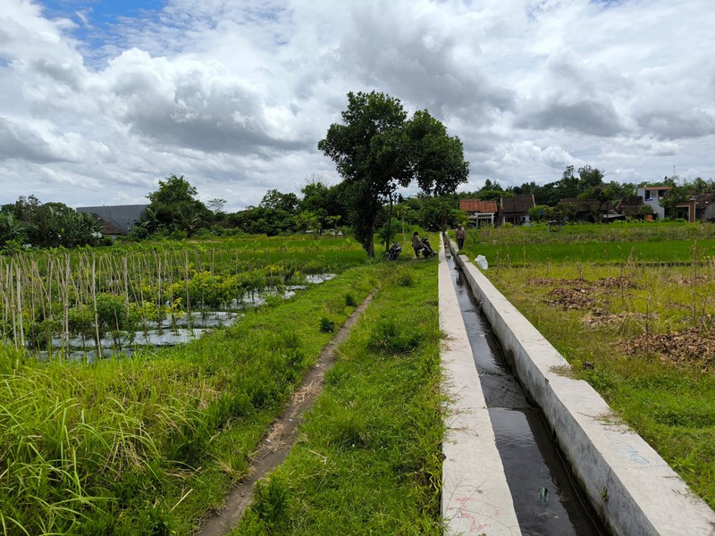 Dijual Tanah Sawah Strategis di Area Cebongan, Dekat Kantor Kelurahan, Sumberadi, Mlati, Sleman
