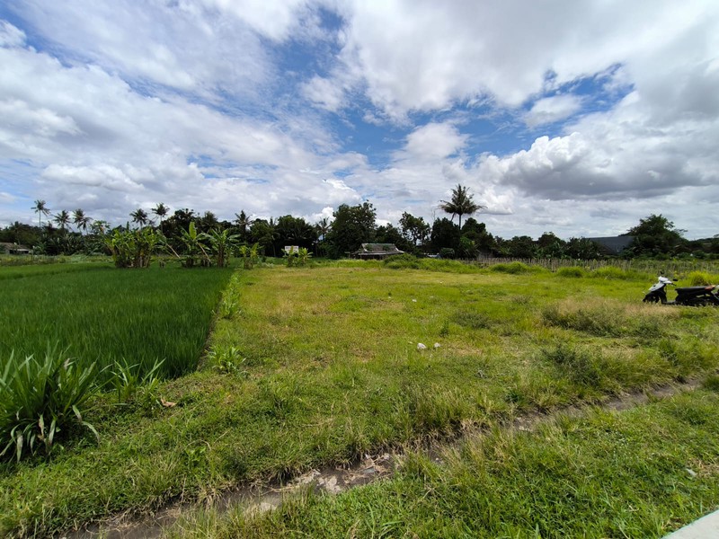 Dijual Tanah Sawah Strategis di Area Cebongan, Dekat Kantor Kelurahan, Sumberadi, Mlati, Sleman