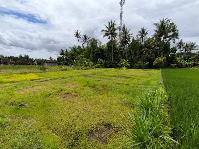 Dijual Tanah Sawah Strategis di Area Cebongan, Dekat Kantor Kelurahan, Sumberadi, Mlati, Sleman