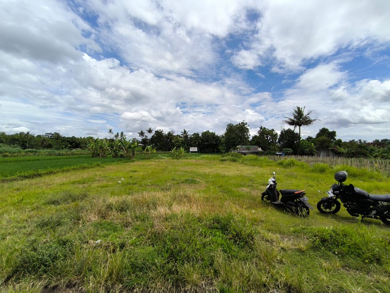 Dijual Tanah Sawah Strategis di Area Cebongan, Dekat Kantor Kelurahan, Sumberadi, Mlati, Sleman