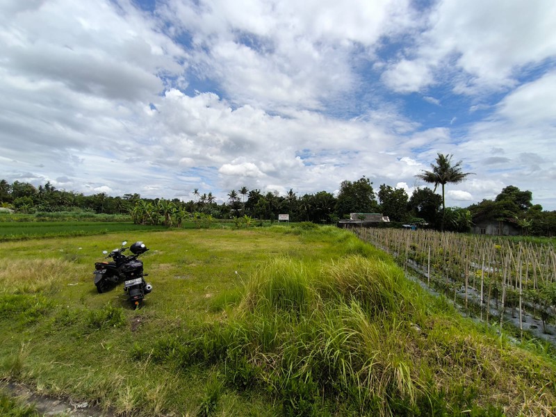 Dijual Tanah Sawah Strategis di Area Cebongan, Dekat Kantor Kelurahan, Sumberadi, Mlati, Sleman