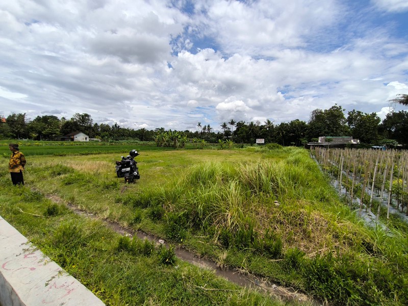 Dijual Tanah Sawah Strategis di Area Cebongan, Dekat Kantor Kelurahan, Sumberadi, Mlati, Sleman