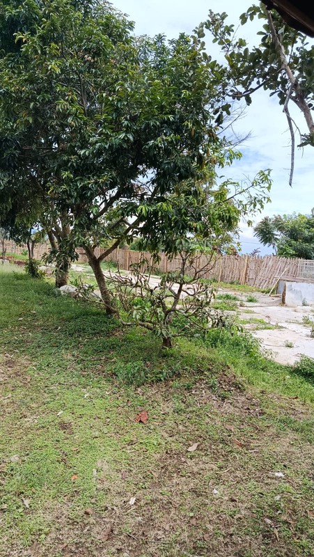 Kavling Murah Siap Bangun Luas 2100 m2 di Cisarua @Bandung Barat