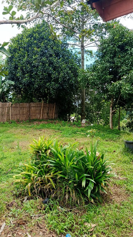 Kavling Murah Siap Bangun Luas 2100 m2 di Cisarua @Bandung Barat