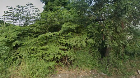 Dijual Tanah Komersial Alas Malang, Sambikerep, Surabaya Barat 0 Jalan Raya; cocok untuk usaha atau investasi