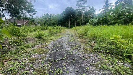 Dijual Tanah Pekarangan Luas 1529 Meter Persegi Lokasi Sembung - Balecatur Gamping Sleman 