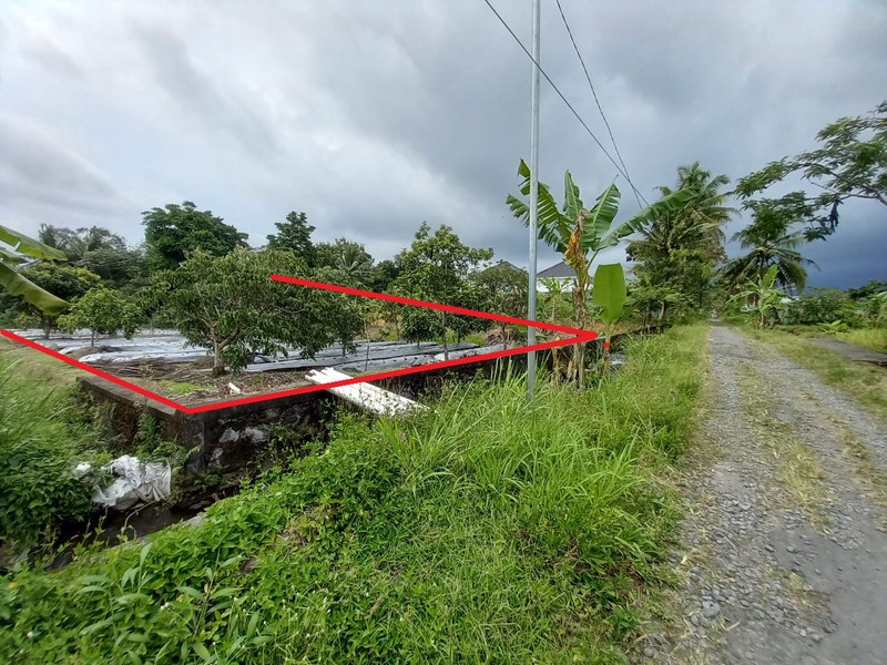 Dijual Tanah Sawah Strategis LOkasi Bendosari - Pakem Sleman 