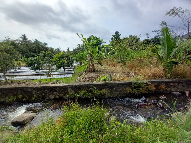 Dijual Tanah Sawah Strategis LOkasi Bendosari - Pakem Sleman 