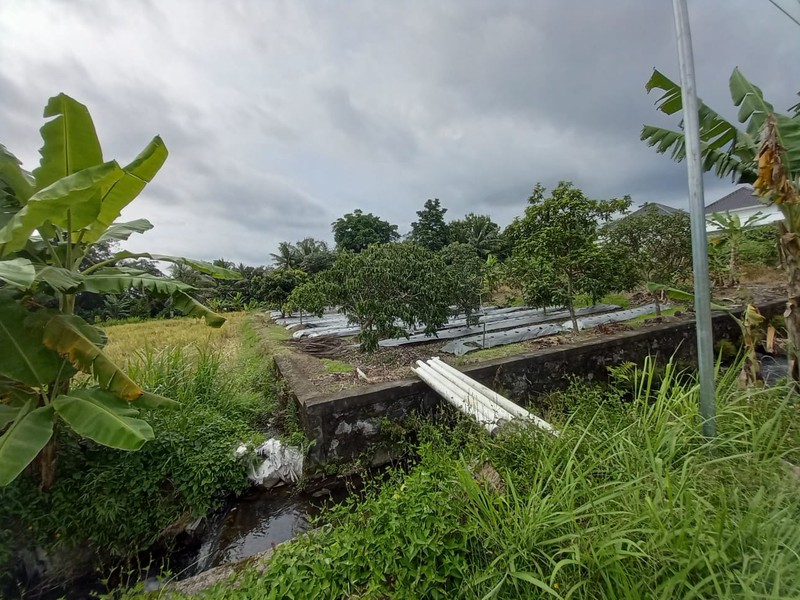 Dijual Tanah Sawah Strategis LOkasi Bendosari - Pakem Sleman 