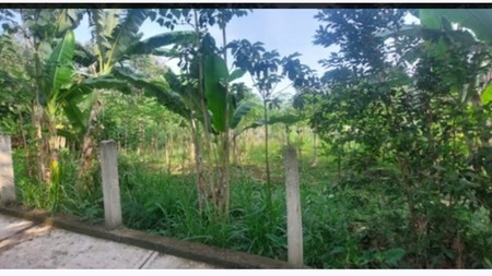 Dijual cepat tanah daerah kaligendong