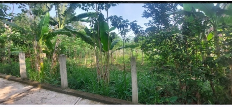 Dijual cepat tanah daerah kaligendong