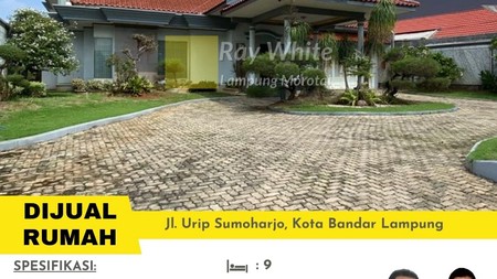 rumah besar pinggir jalan murah way halim