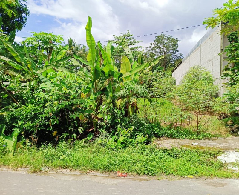 DIJUAL Tanah Pekarangan dekat kampus terpadu UII, Sleman