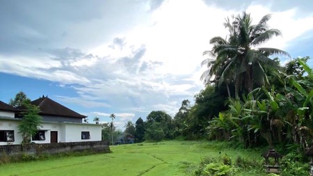 35 Are Land For Sale in Salemadeg, Tabanan