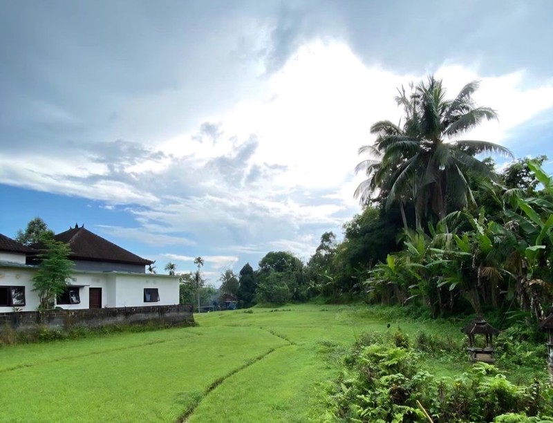 35 Are Land For Sale in Salemadeg, Tabanan