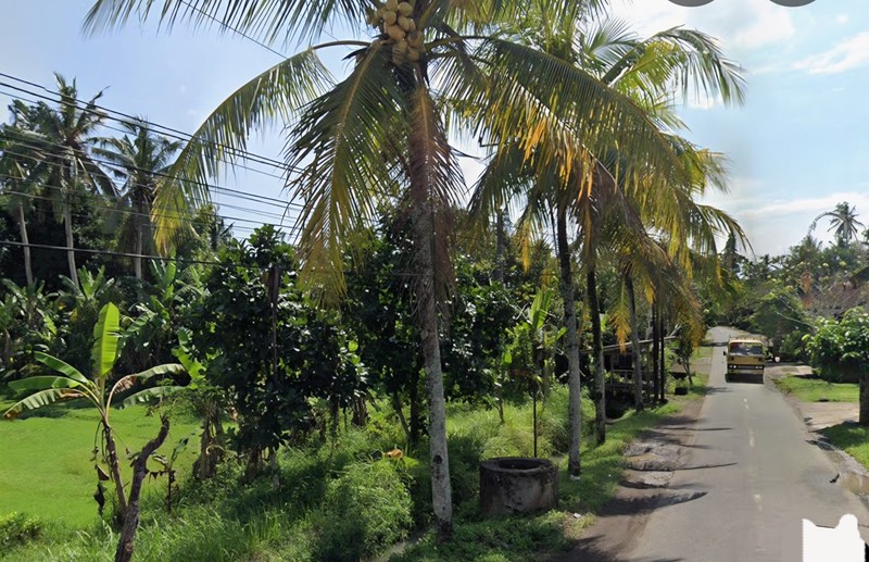 35 Are Land For Sale in Salemadeg, Tabanan