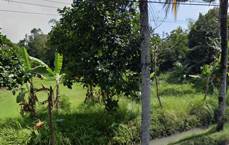 35 Are Land For Sale in Salemadeg, Tabanan