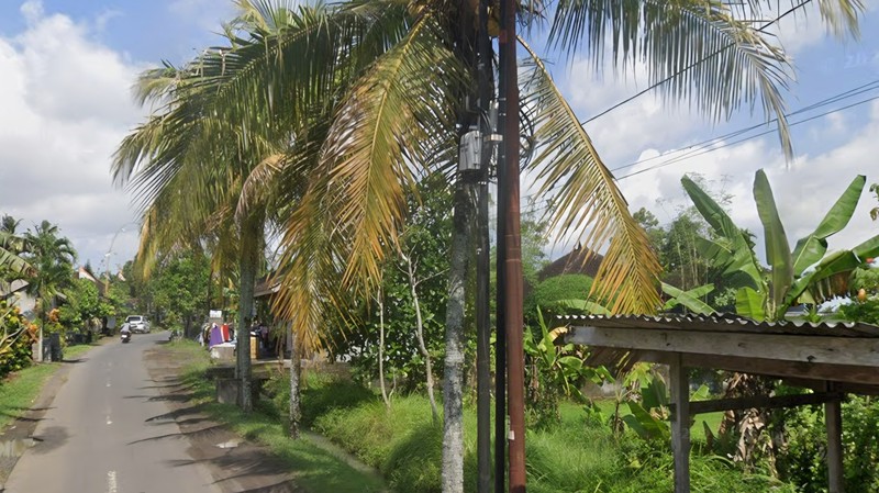35 Are Land For Sale in Salemadeg, Tabanan