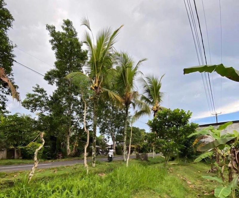 35 Are Land For Sale in Salemadeg, Tabanan