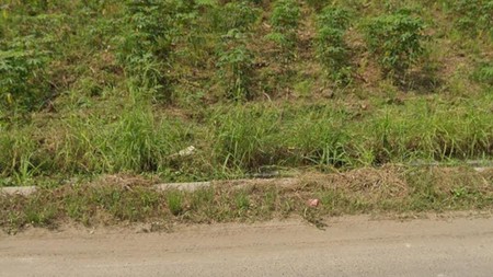 Tanah SHM 3.012 Strategis di Gn. Sugih Lampung Tengah 