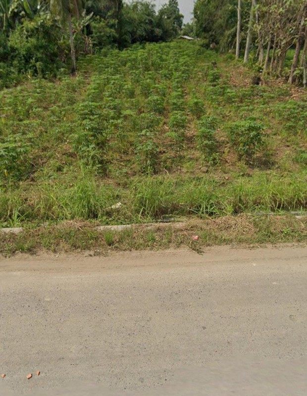 Tanah SHM 3.012 Strategis di Gn. Sugih Lampung Tengah 