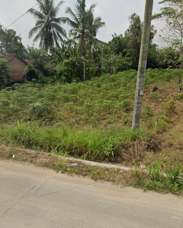 Tanah SHM 3.012 Strategis di Gn. Sugih Lampung Tengah 