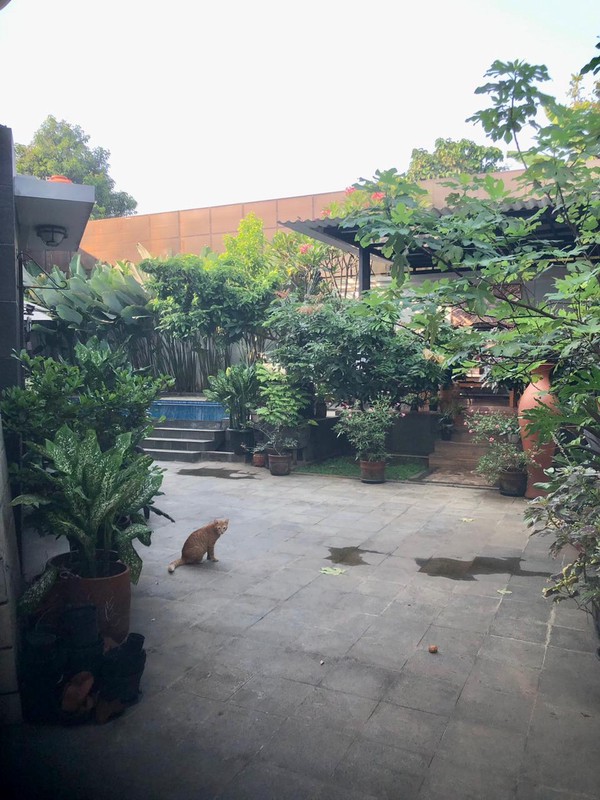  DIJUAL RUMAH MEWAH, TANAH NGANTONG,  DESIGN ETNIK 2LT DI JAGAKARSA