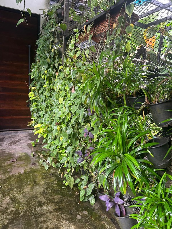 Rumah 2 Lantai Siap Huni dengan Hunian Nyaman dan Asri dengan Lokasi Premuim @Bintaro Jaya, Sektor 9