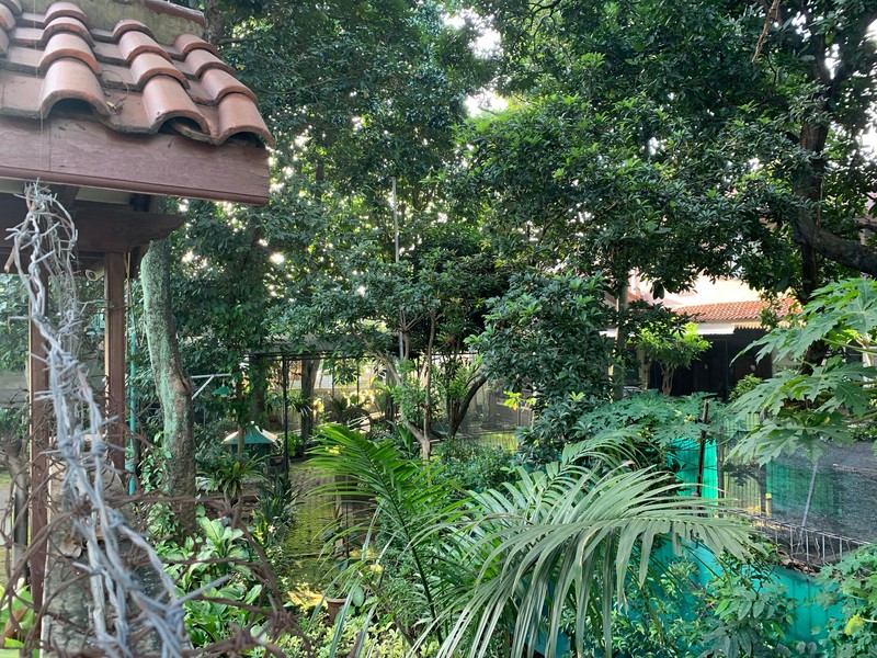 Rumah Hitung Tanah Di Jl Matrial Jagakarsa Jakarta Selatan