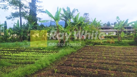 Kavling Setiabudi Regency Bandung