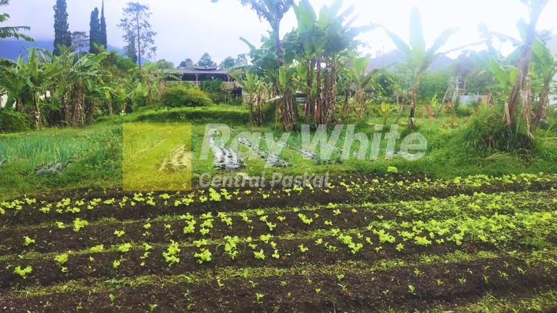 Kavling Setiabudi Regency Bandung