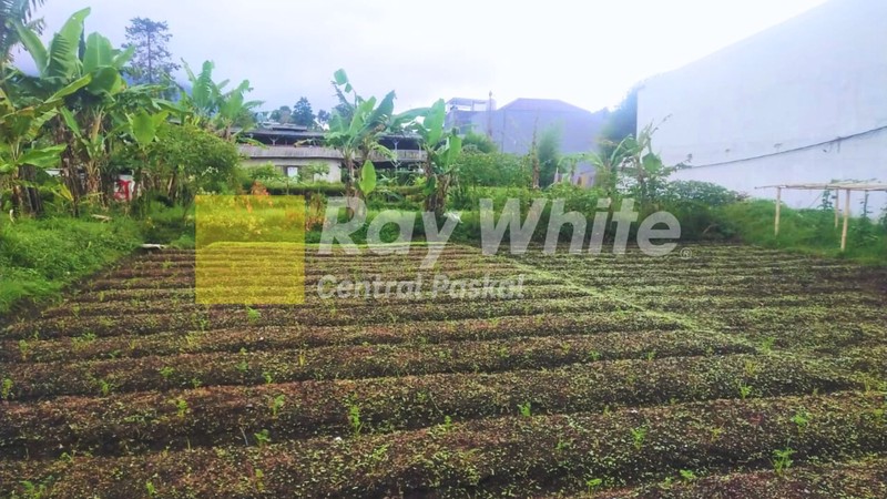 Kavling Setiabudi Regency Bandung