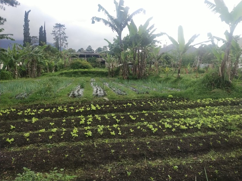 Kavling Setiabudi Regency Bandung