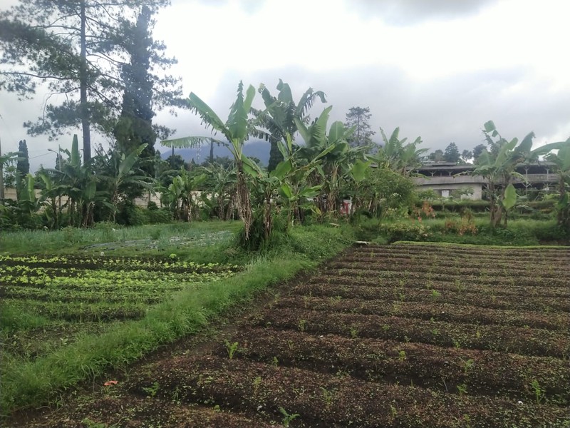 Kavling Setiabudi Regency Bandung